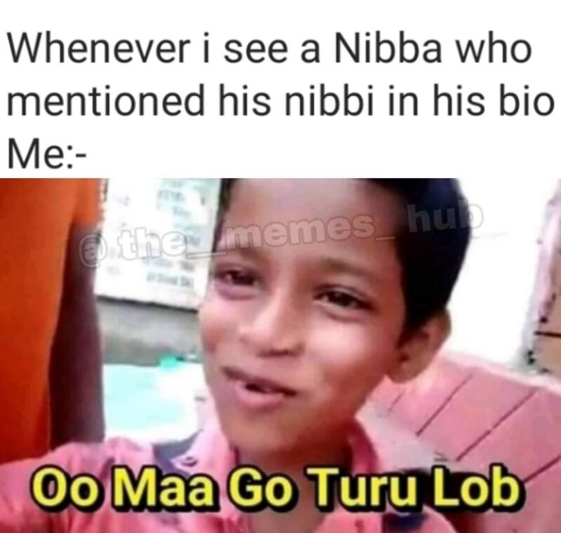 14 Years Old Nibbi Nibba Memes 5