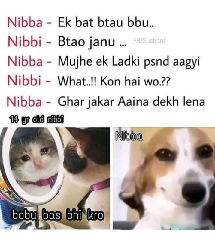 14 Years Old Nibbi Nibba Memes 6