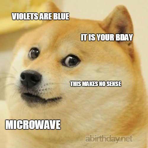 Crazy Dog Birthday Meme