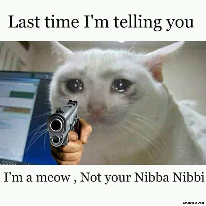 Last Time I Am Telling You I Am A Meow Not Your Nibba Nibbi Meme 2788
