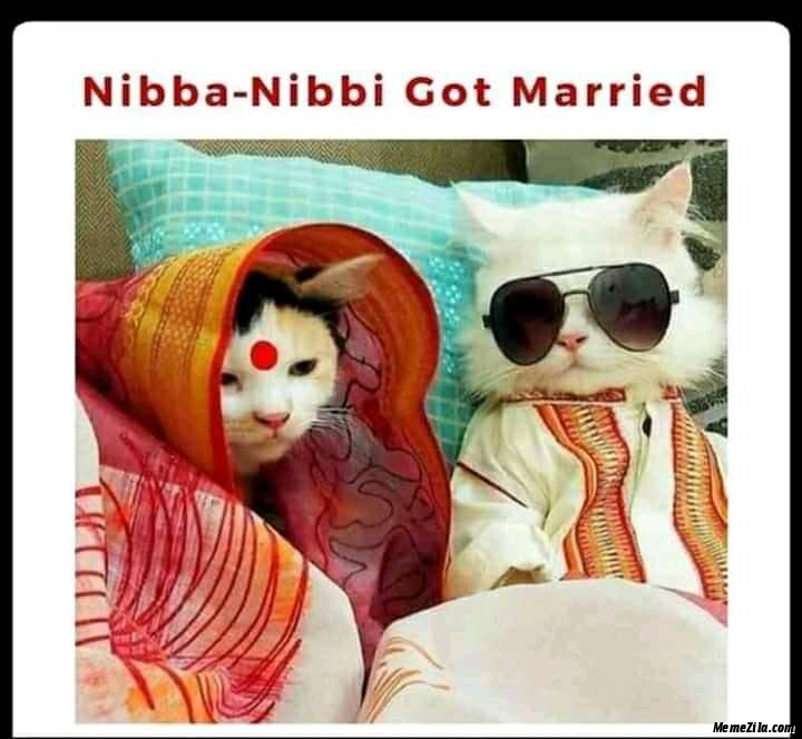 Nibba Nibbi Got Married Meme 2349