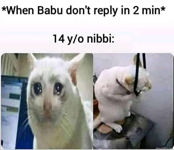 Nibbi Nibba Memes 6