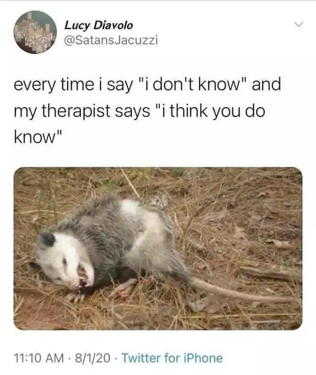 Possum Memes7