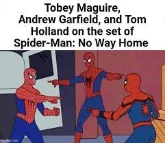 Amazing Spiderman Memes (3)