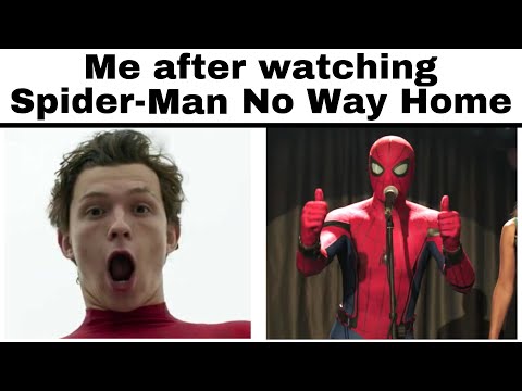 Amazing Spiderman Memes (4)