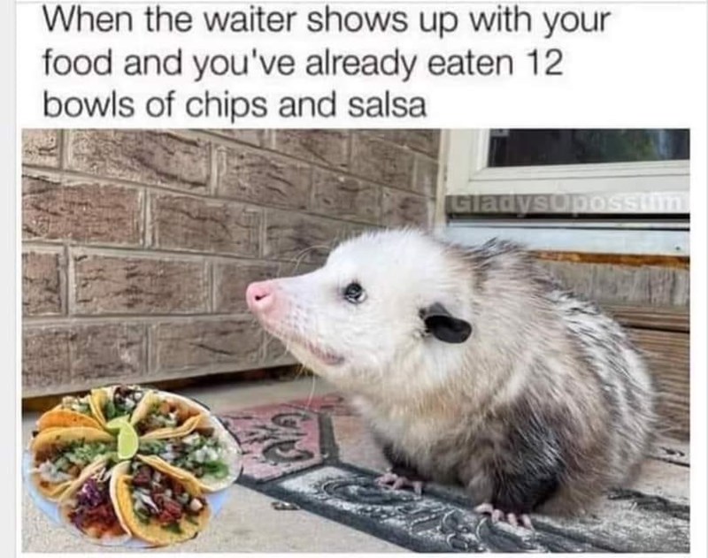 Animal Waiter Shows Up With Food And Already Eaten 12 Bowls Chips And Salsa Ciadysopossm