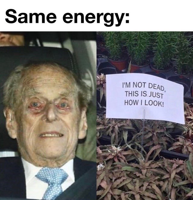 Funny Meme About How Prince Philip Looks Like He Is Dead