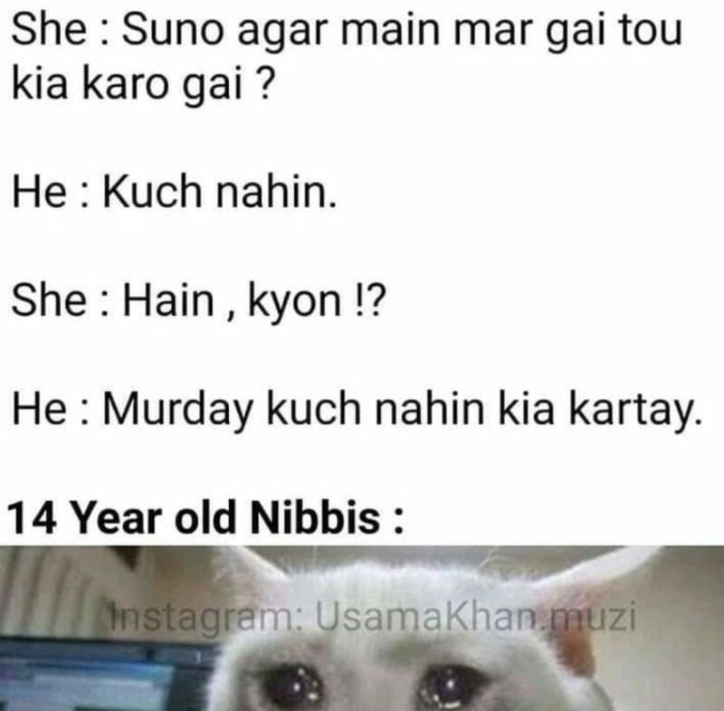 Funny Nibbi Nibba Memes 11