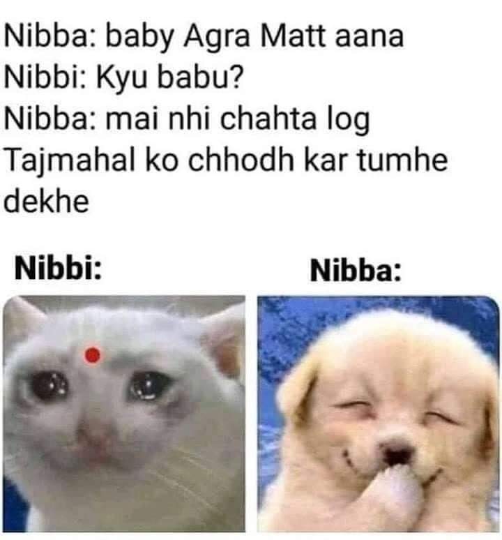 Funny Nibbi Nibba Memes 3