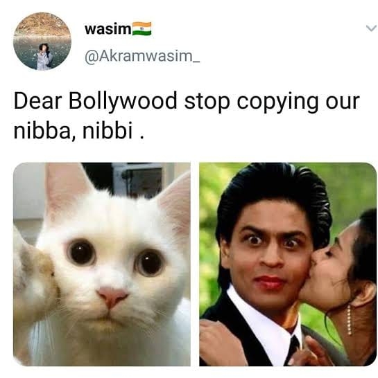 Funny Nibbi Nibba Memes 4