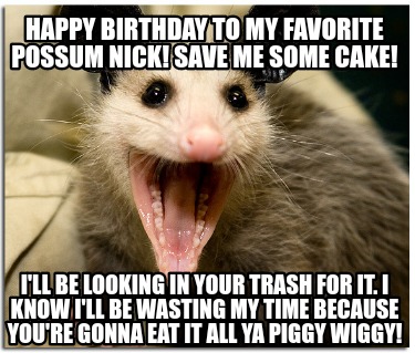 Funny Possum Memes4