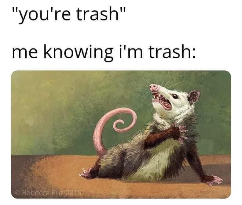 Funny Possum Memes9
