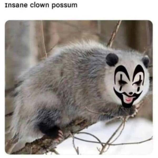 Insane Clown Possum
