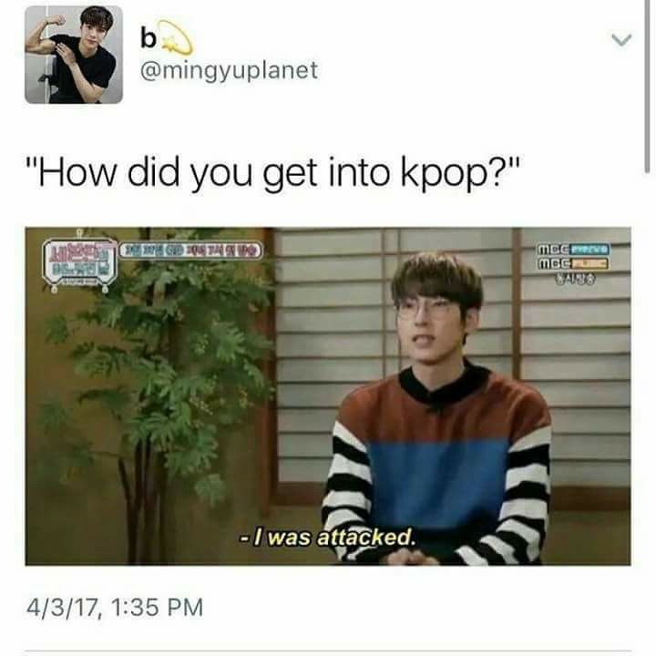 Kpop Band Memes Funny 6