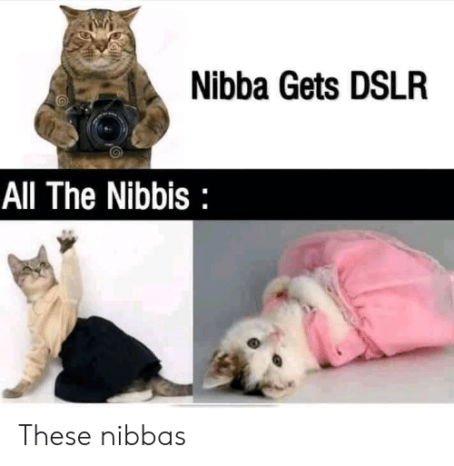 Nibba Gets Dslr All The Nibbis These Nibbas 59116308