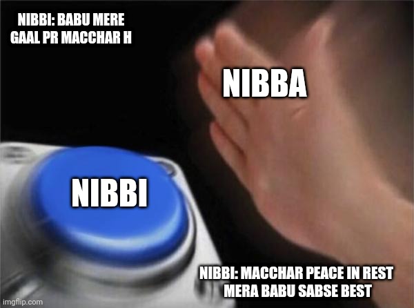 Nibba Nibbi Memes5