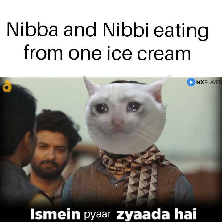Nibba Nibbi Memes8