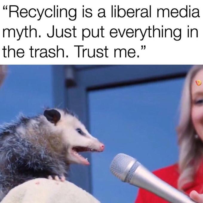 Relatable Possum Memes 11