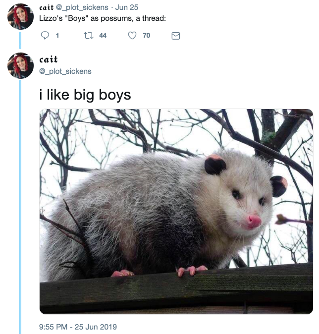Relatable Possum Memes 13