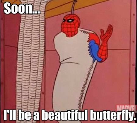 Spidey Meme Butterfly