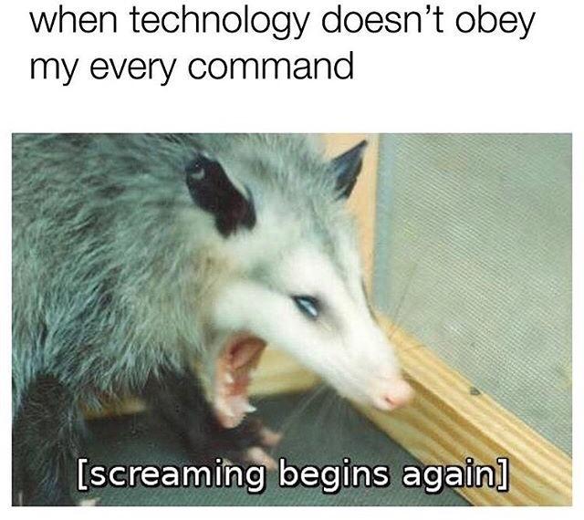 Weird Possum Memes4