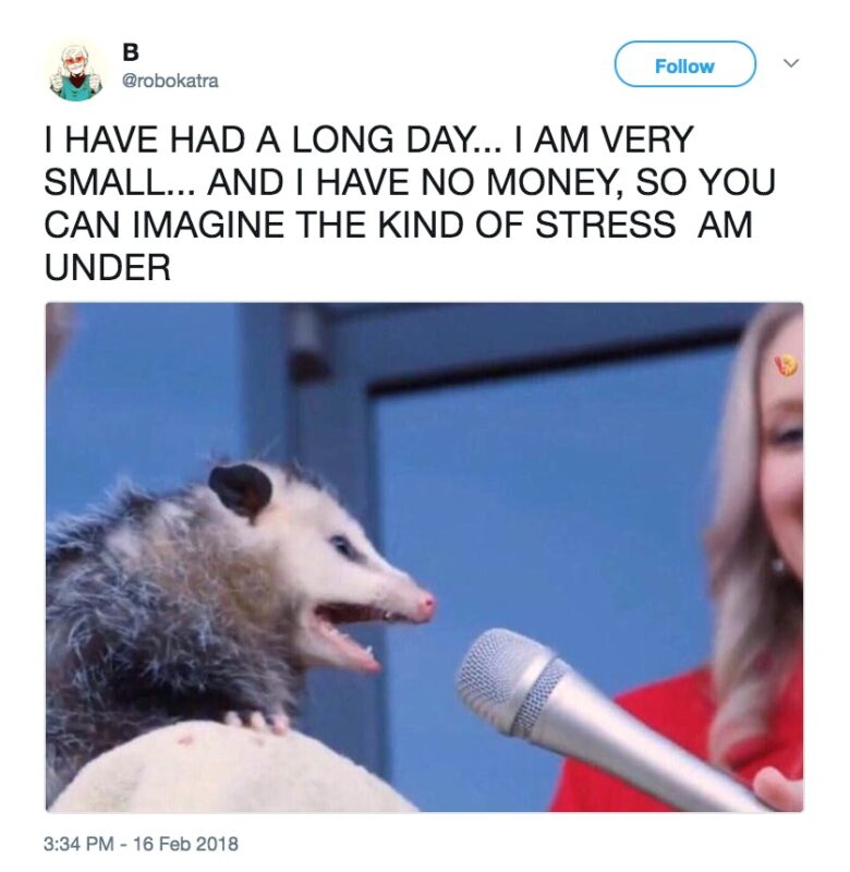 Weird Possum Memes6