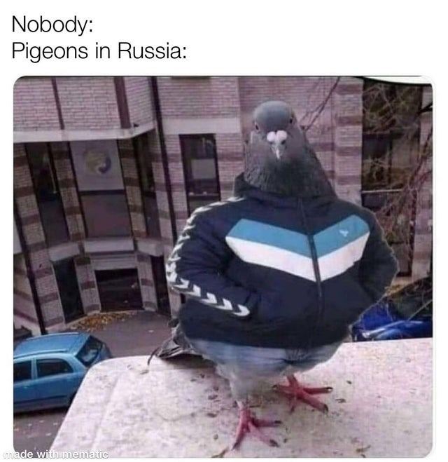 Russia Ukraine Memes (4)