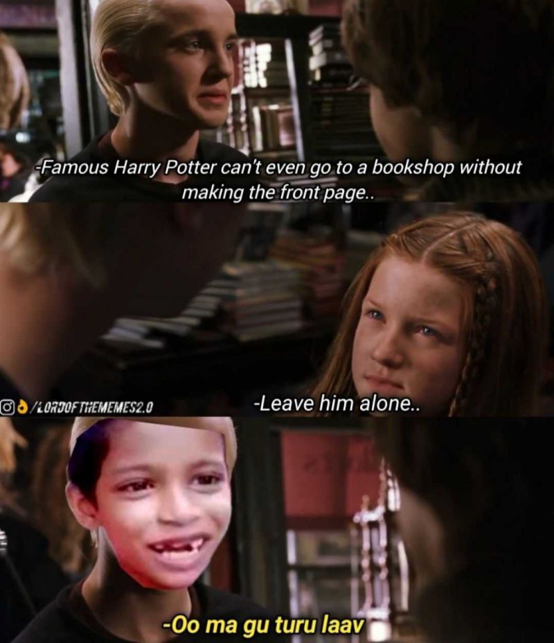 Funny Harry Potter Memes (10)