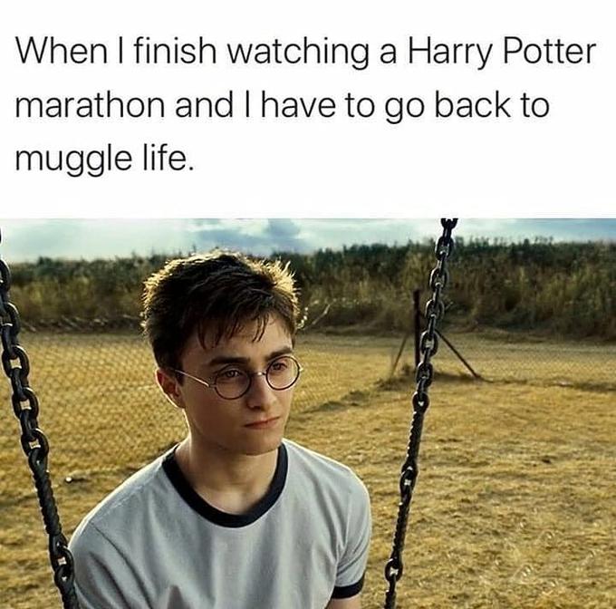 Funny Harry Potter Memes (12)