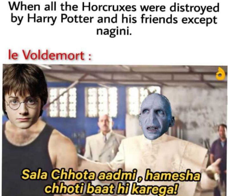 Funny Harry Potter Memes (14)