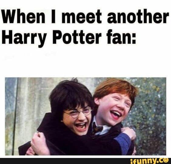 Funny Harry Potter Memes (15)