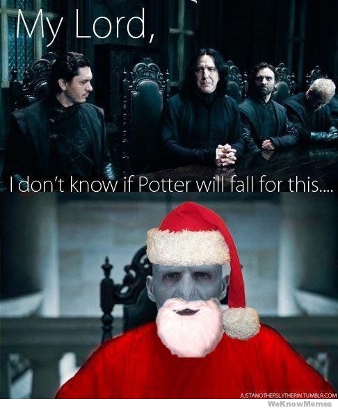 Funny Harry Potter Memes (2)