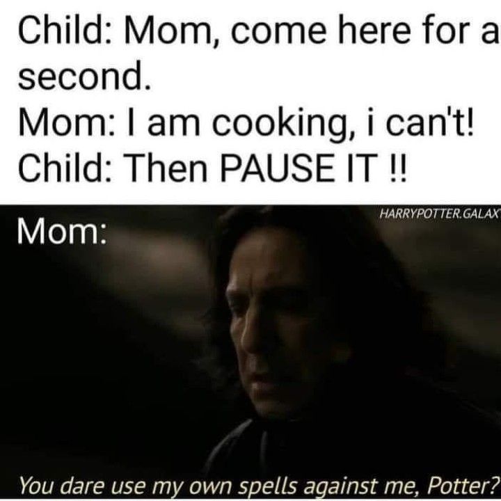 Funny Harry Potter Memes (3)