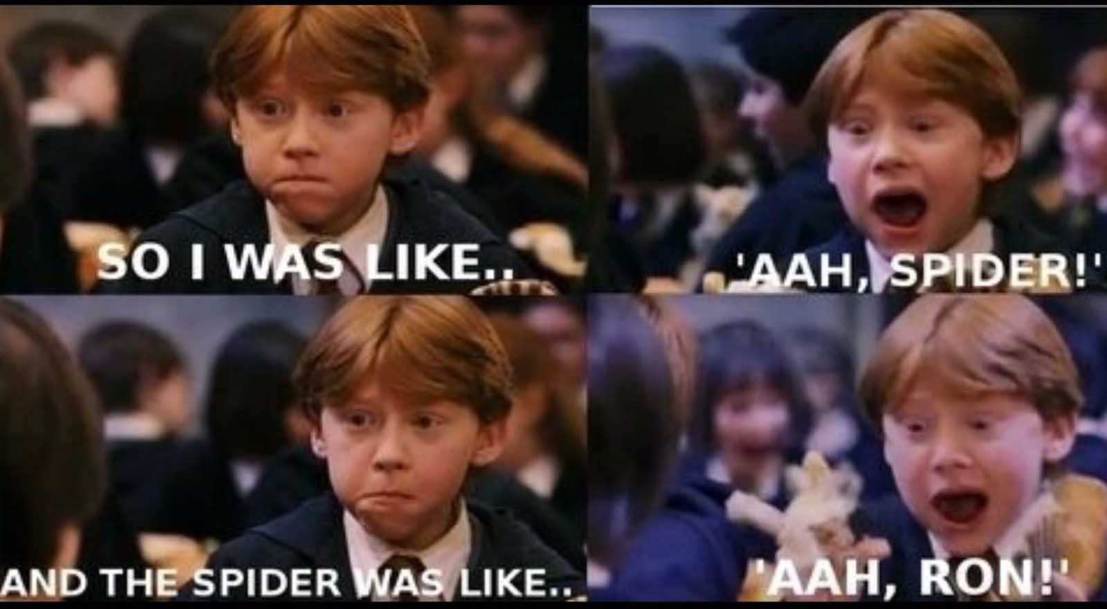 Funny Harry Potter Memes (4)