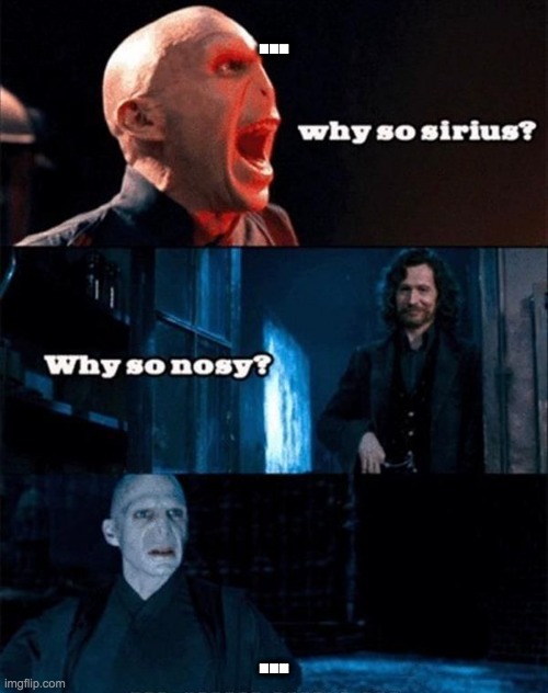 Funny Harry Potter Memes (5)