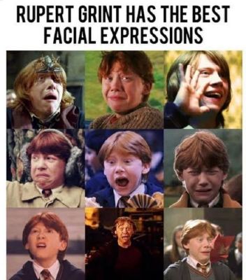 Funny Harry Potter Memes (7)