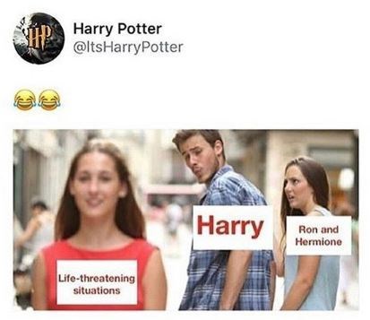 Funny Memes On Harry Potter (1)