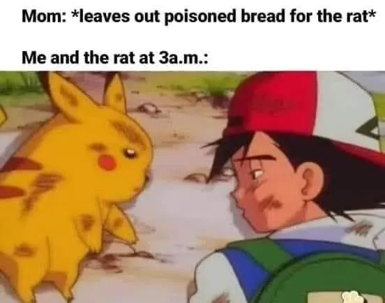 Funny Pokemon Memes (1)