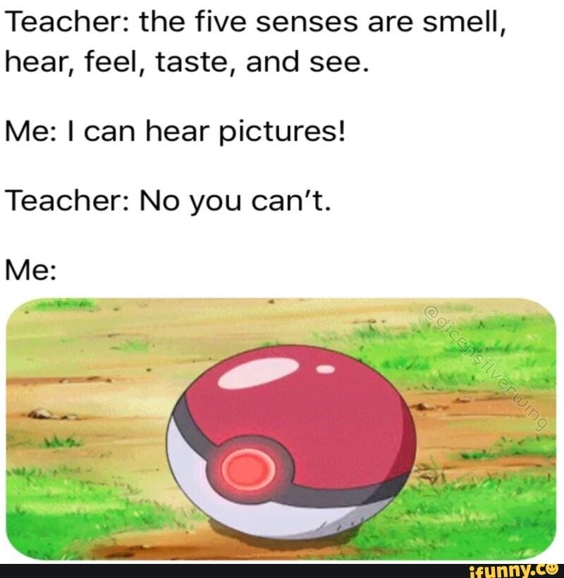 Funny Pokemon Memes (2)