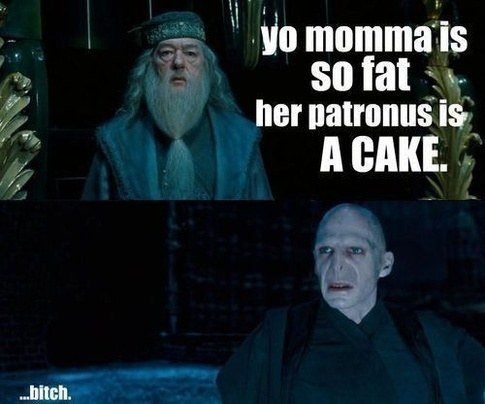 Harry Potter Hilarious Meme (1)