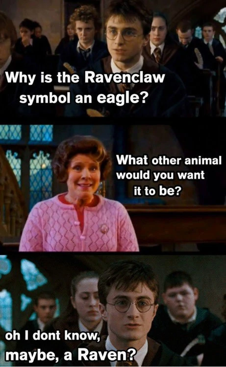 Harry Potter Hilarious Meme (1)