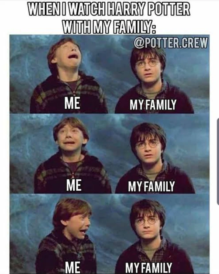 Harry Potter Hilarious Meme (4)