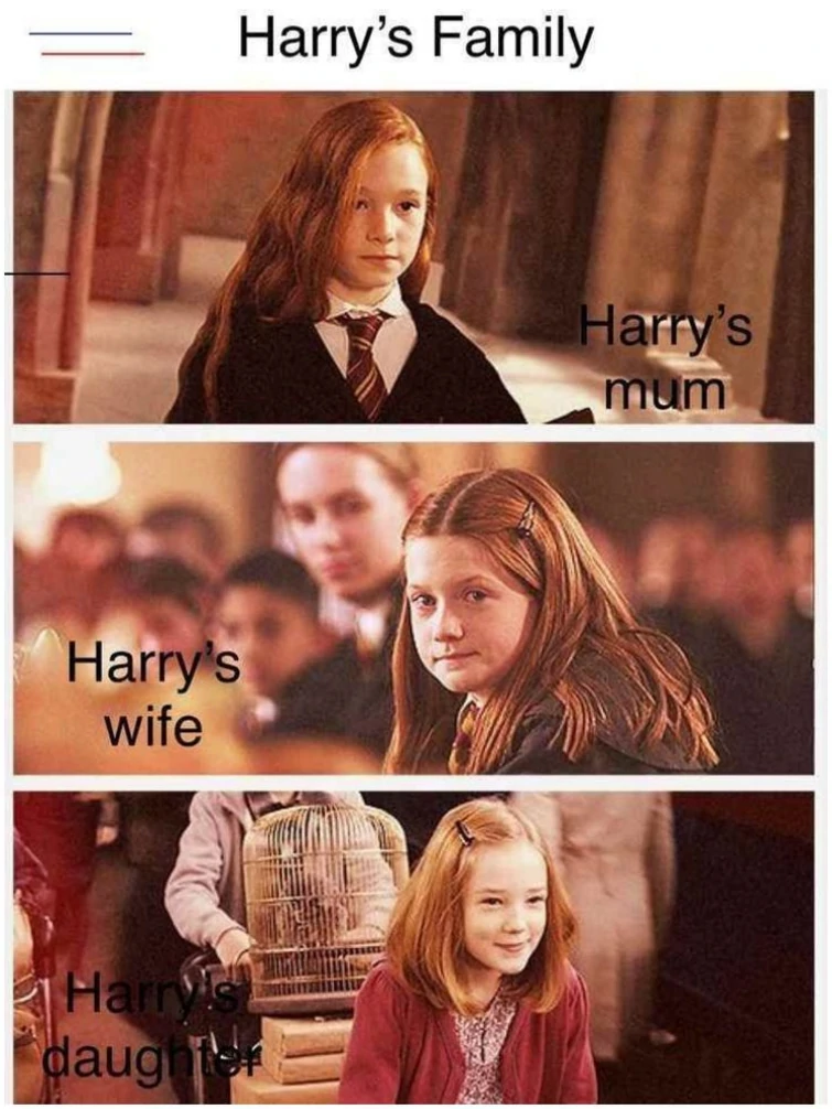 Harry Potter Hilarious Meme (5)