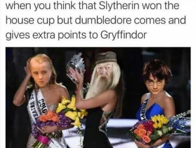 Harry Potter Hilarious Meme (6)