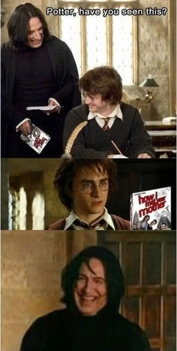 Harry Potter Hilarious Meme (7)