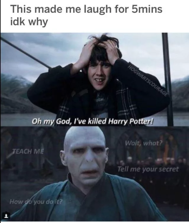 Harry Potter Hilarious Meme (9)