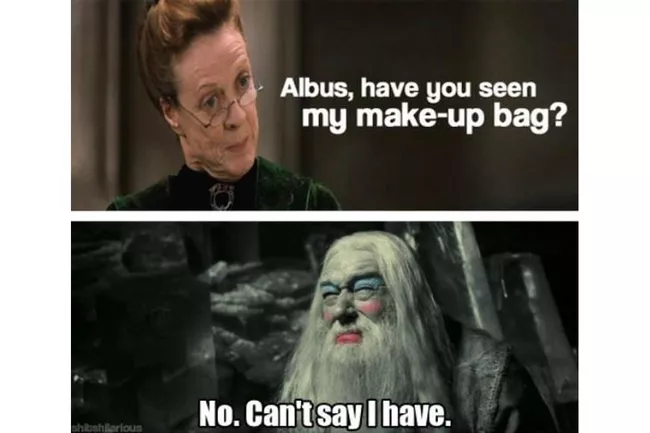 Harry Potter Memes (1)