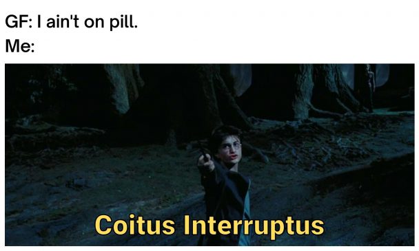 Harry Potter Memes (10)