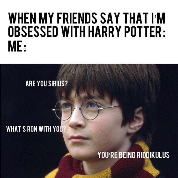 Harry Potter Memes (11)