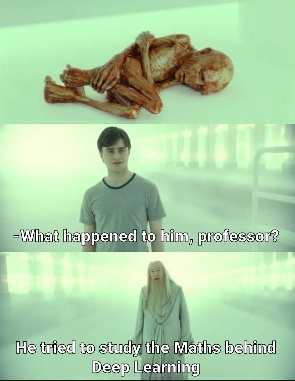 Harry Potter Memes (12)